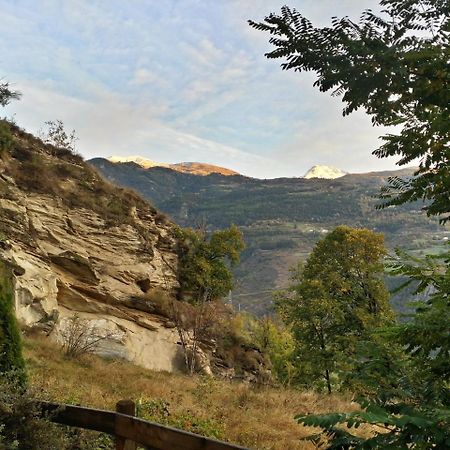 因特罗德Il Rifugio Della Volpe公寓 外观 照片